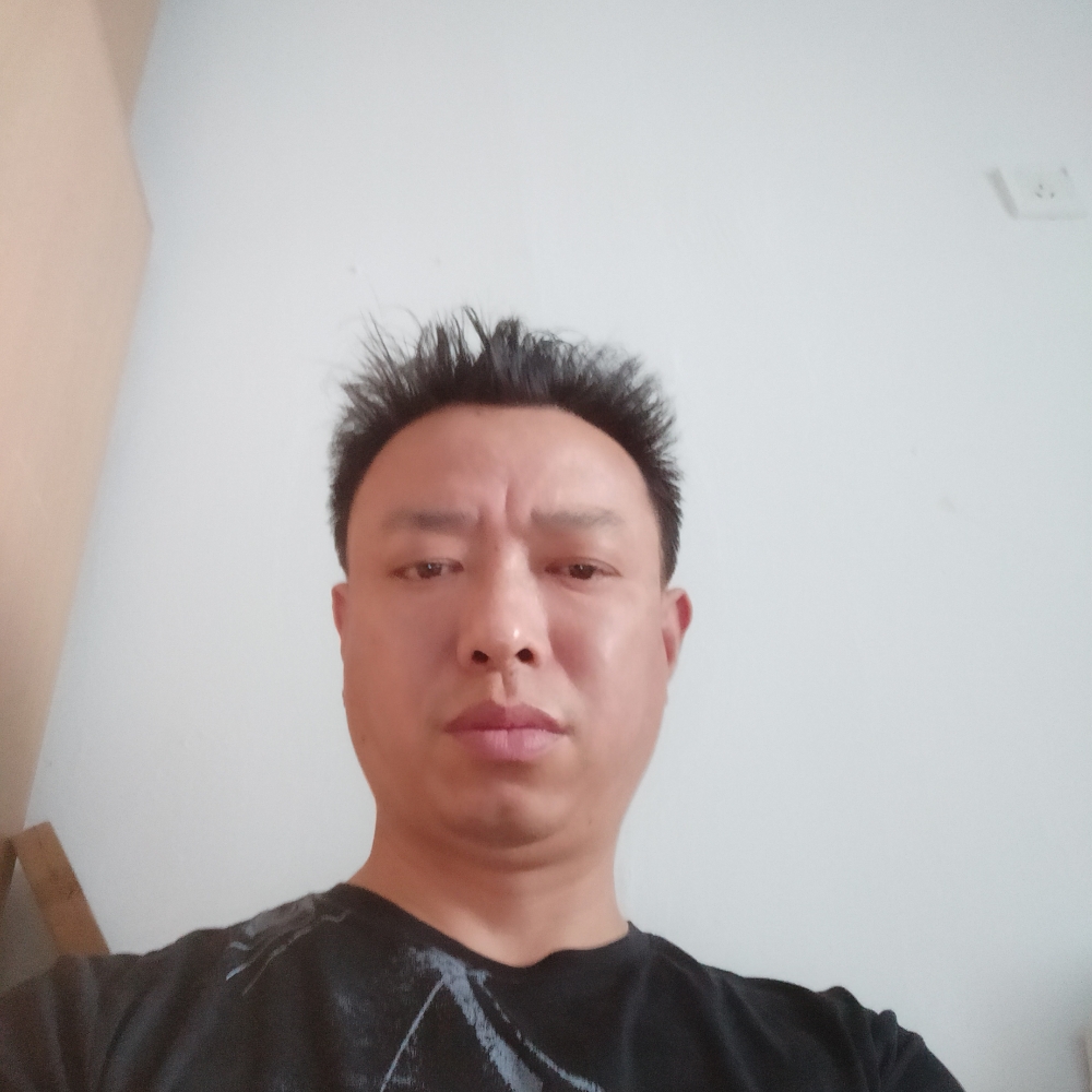 傻傻保卫心岛的照片