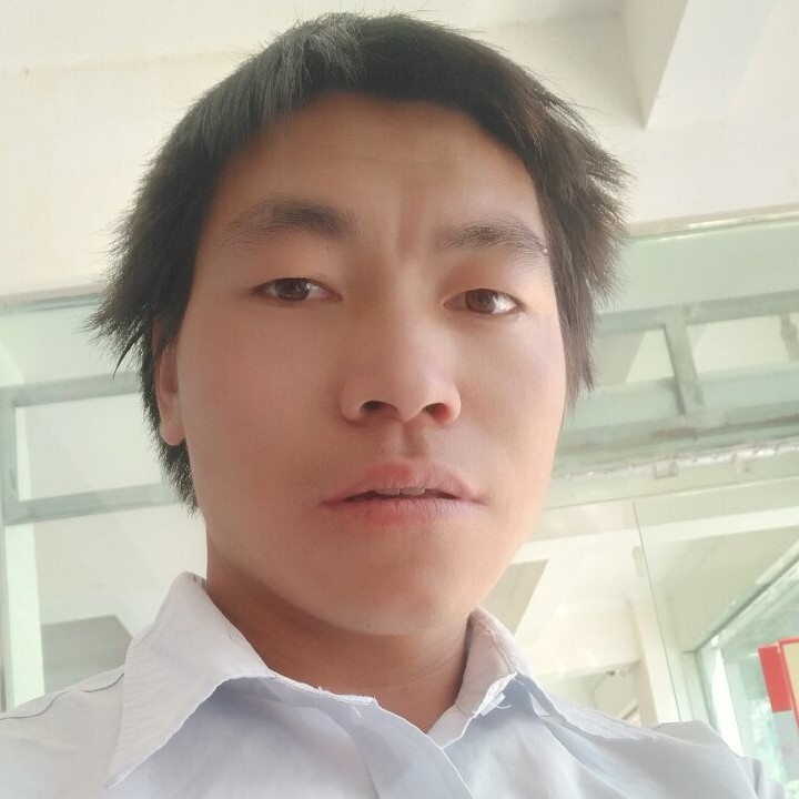 斑马倾心要减肥的照片