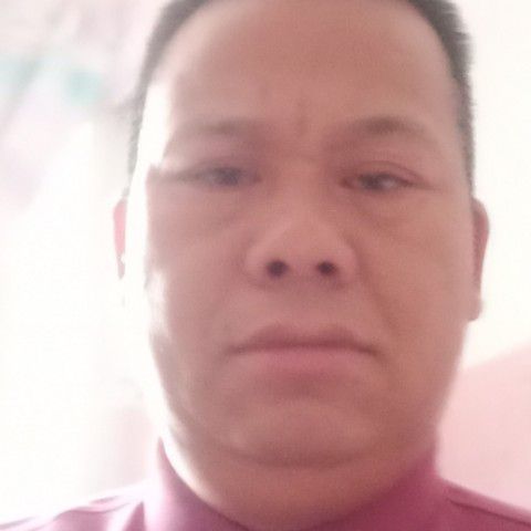 红玫瑰停止飘逸的照片