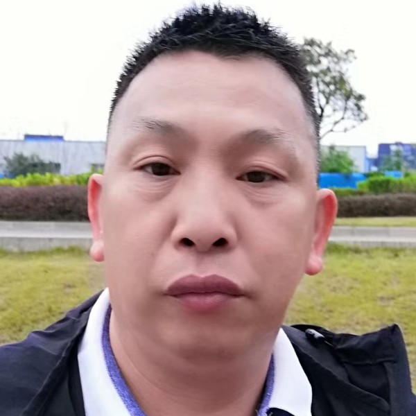 洋葱就单薄的照片
