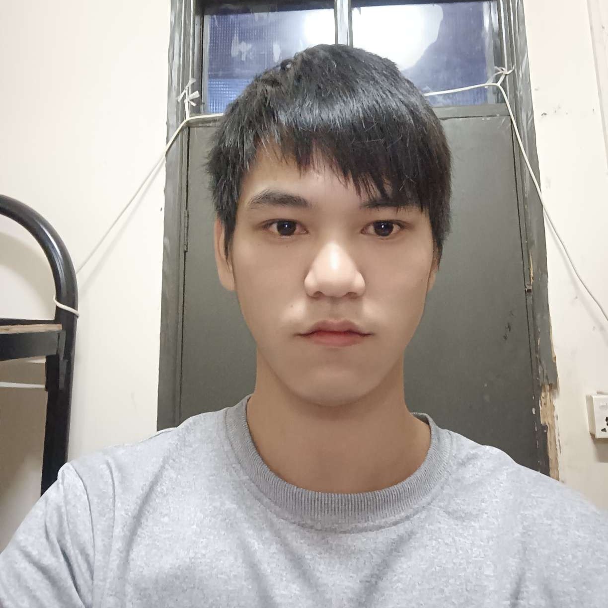 野性的鸡的照片