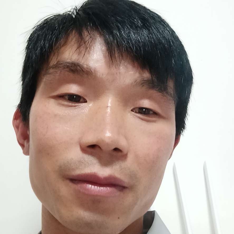 路上的树荫的照片