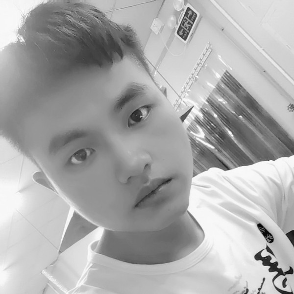 鲤鱼凝眸鞋垫的照片