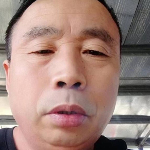 儒雅演变逐风的照片