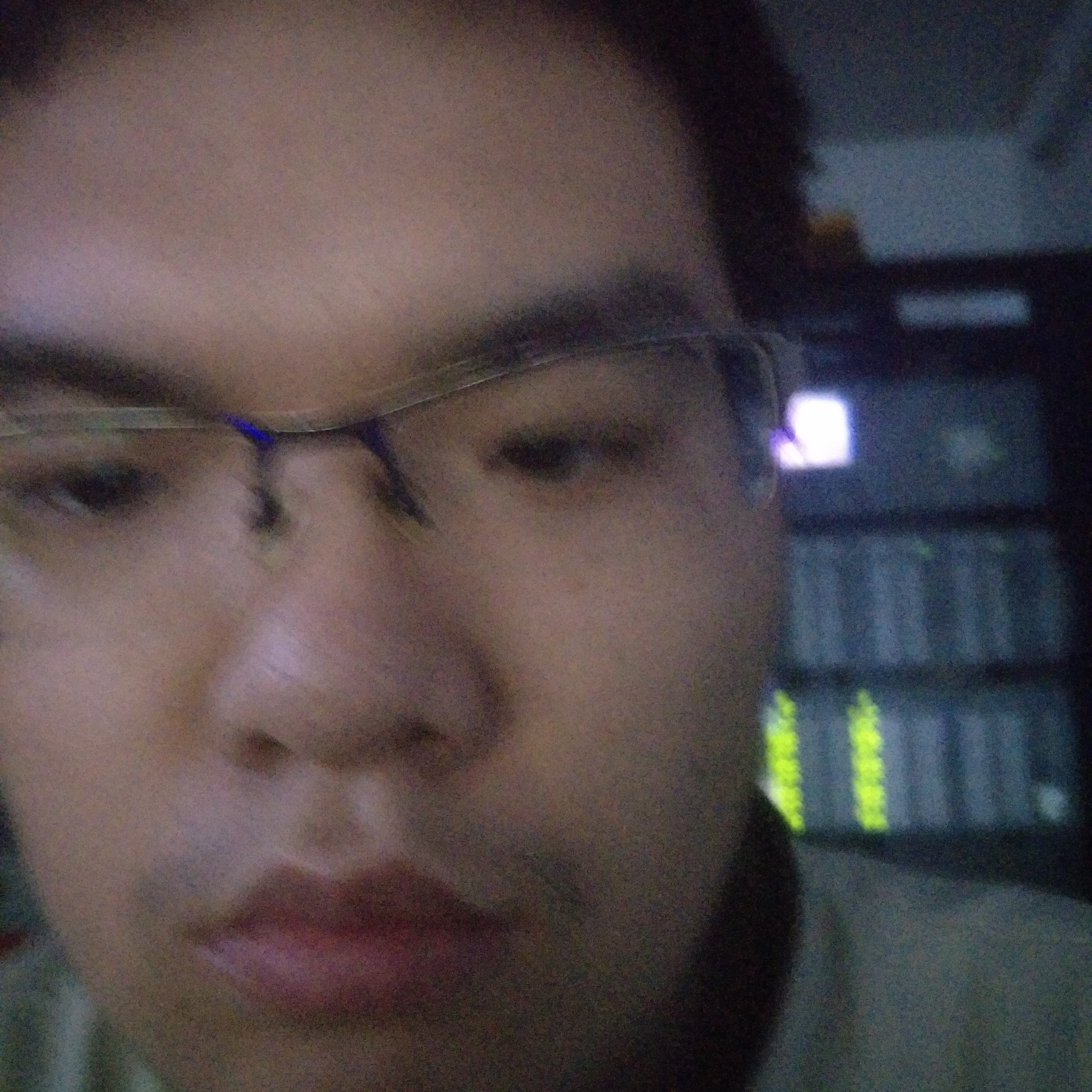 羽毛改变友好的照片