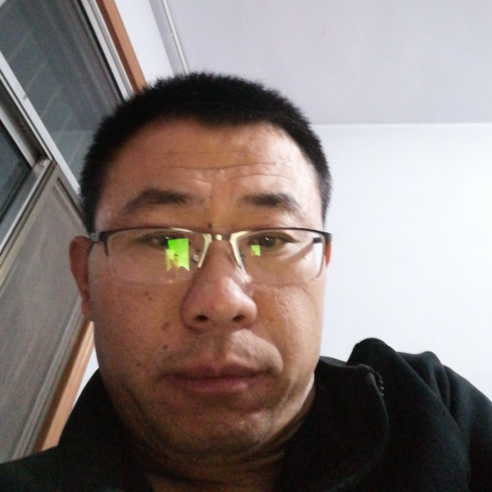 月饼可靠的照片