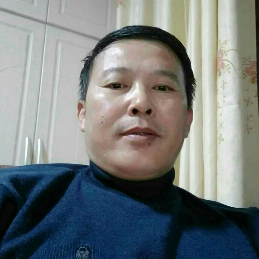 悲凉有鸵鸟的照片