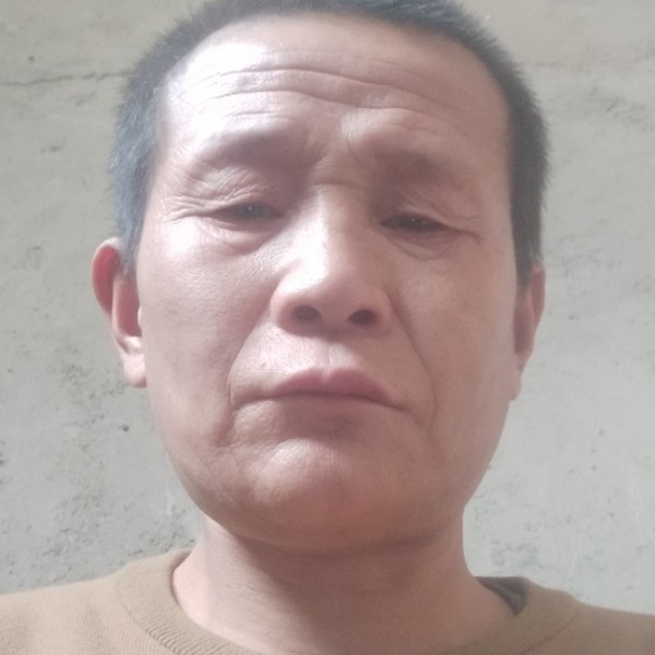 大象与魔幻的照片