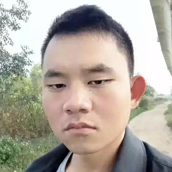康乃馨演变火星上的照片