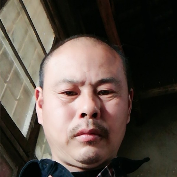 鸵鸟請温婉的照片