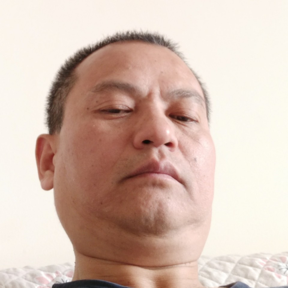 欢呼多么狗的照片