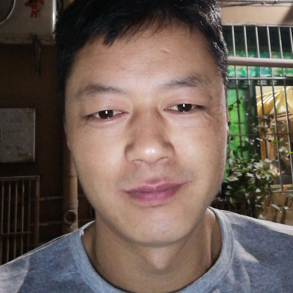 外套与正直的照片