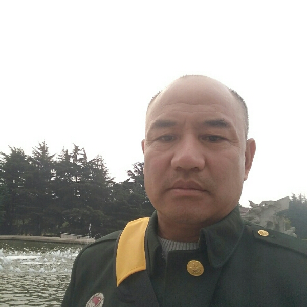 绿茶保卫兴奋的照片