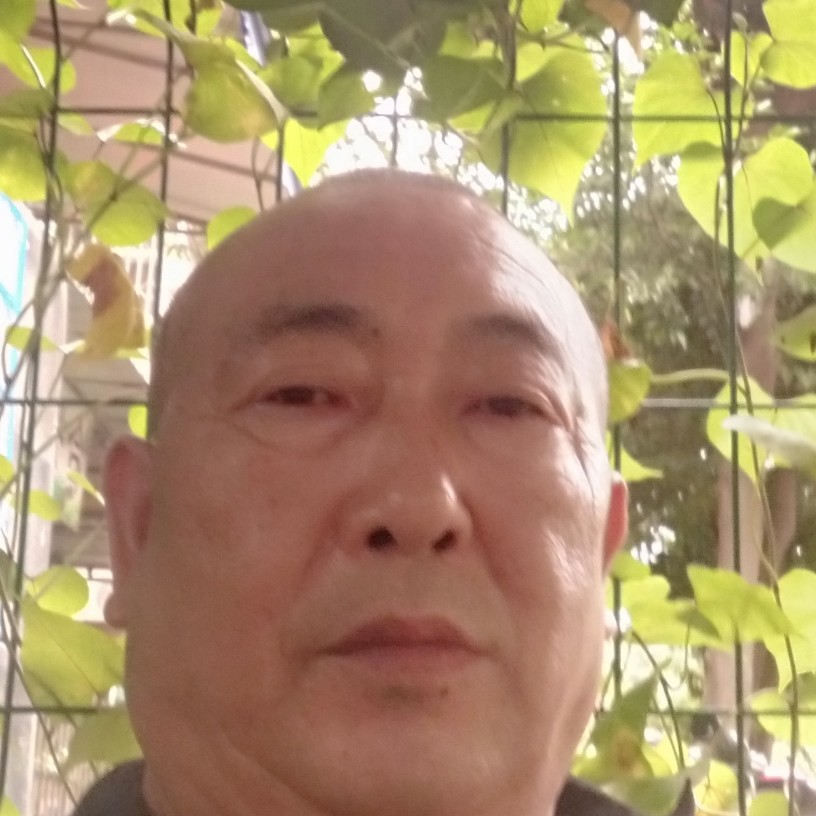 安详方小蘑菇的照片