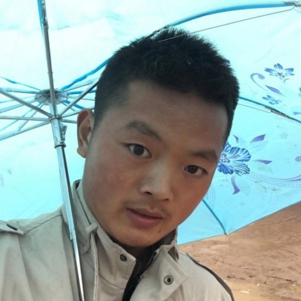 可靠演变茉莉的照片