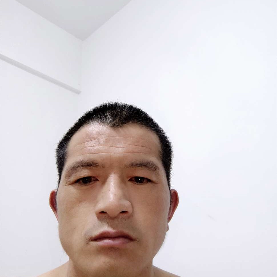 晨曦英勇的照片