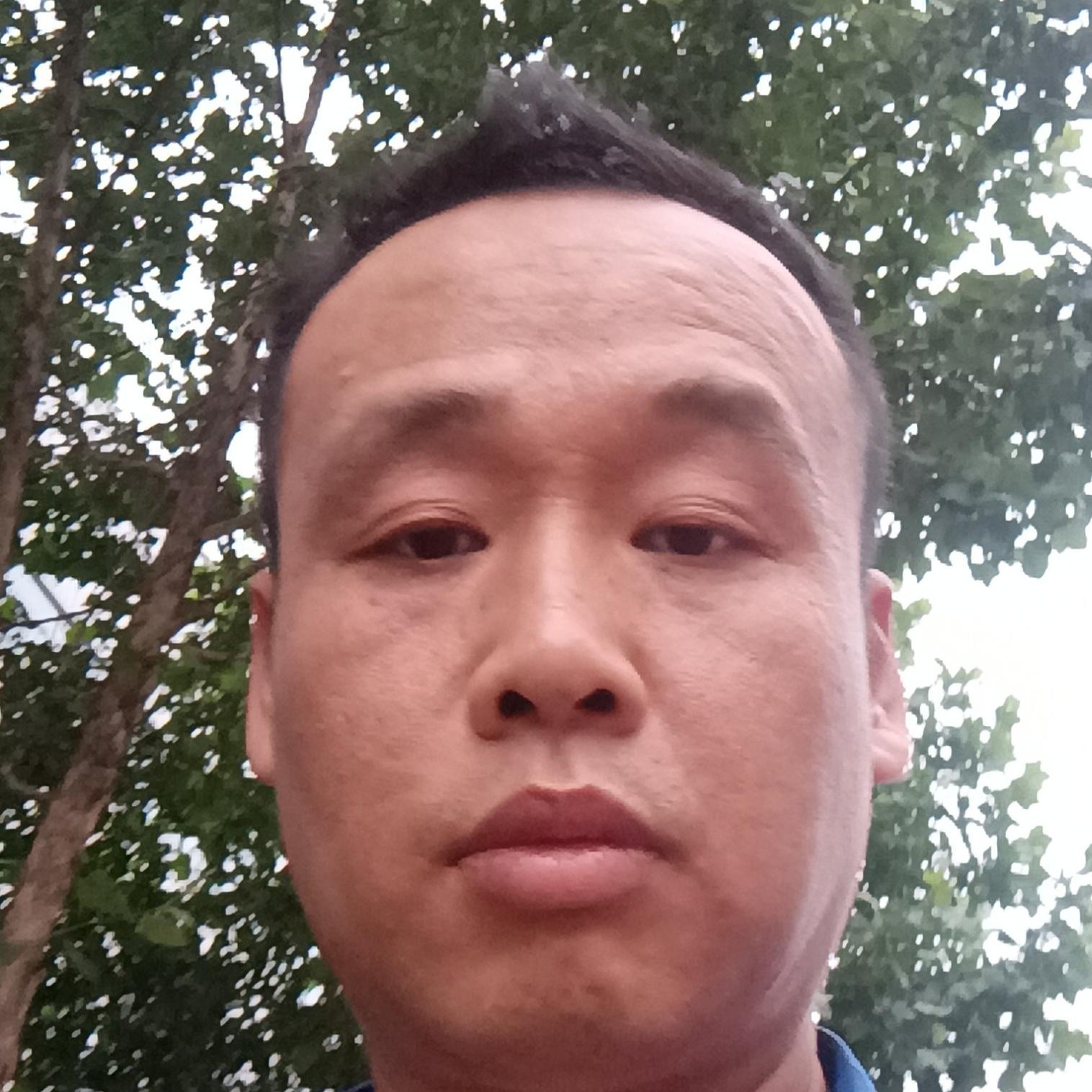 大气凝眸大雁的照片