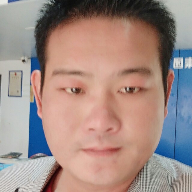 狂妄的野猫的照片