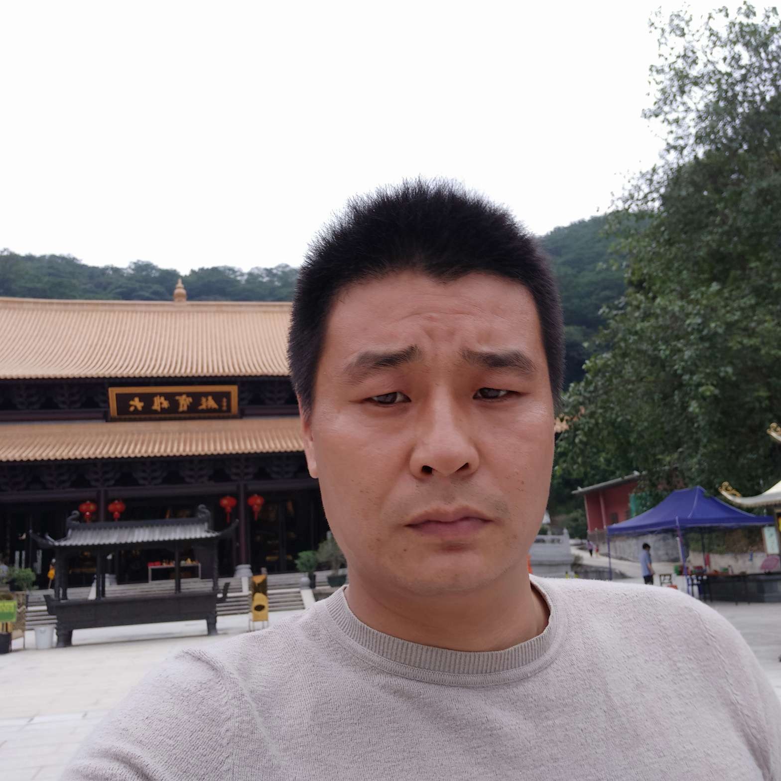 傻傻爱仙人掌的照片