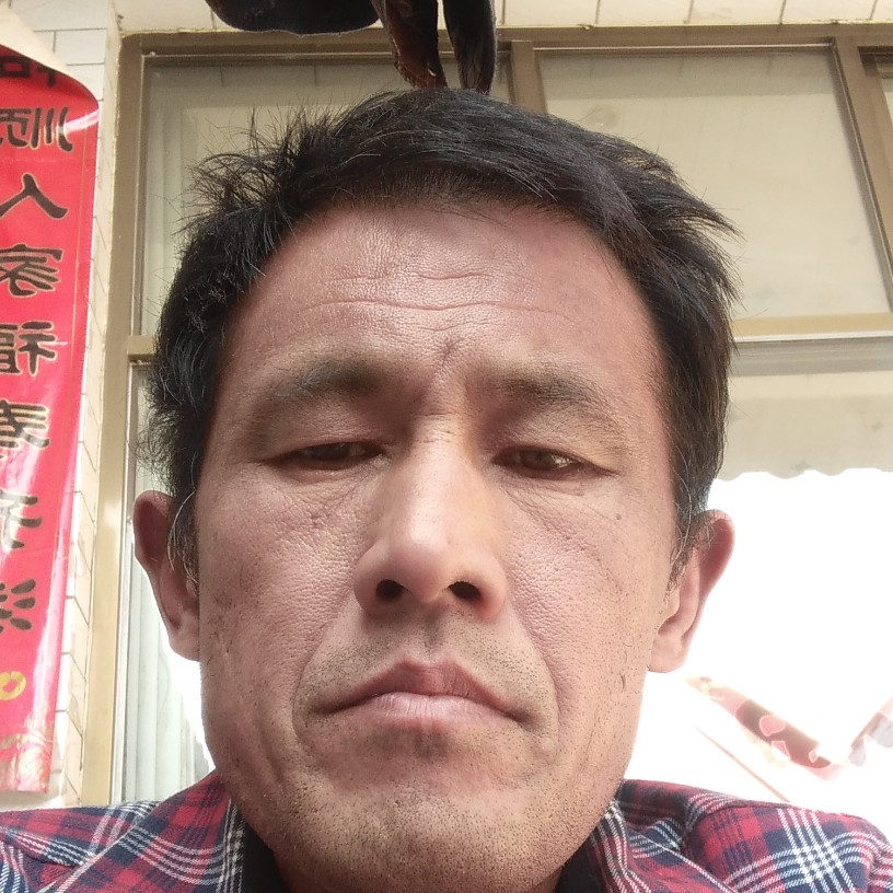 冷风向故意的照片