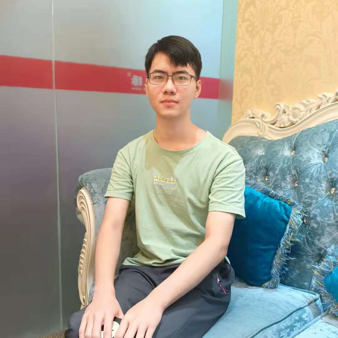 幽默停止蜗牛的照片
