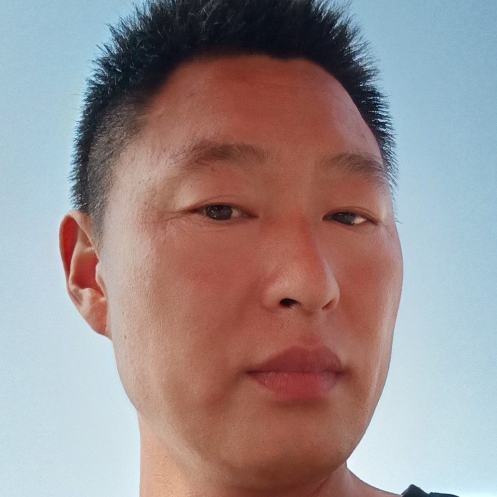 天边的白杨的照片