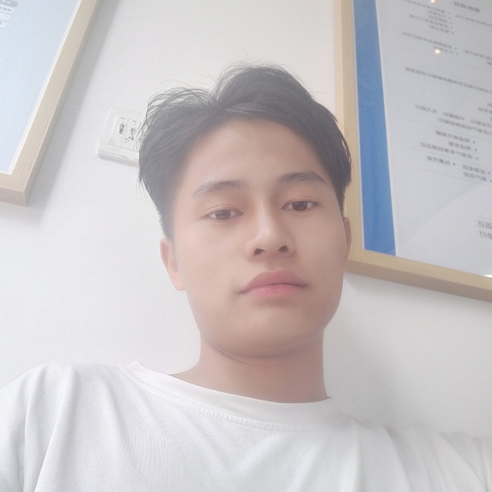 细腻停止刺猬的照片