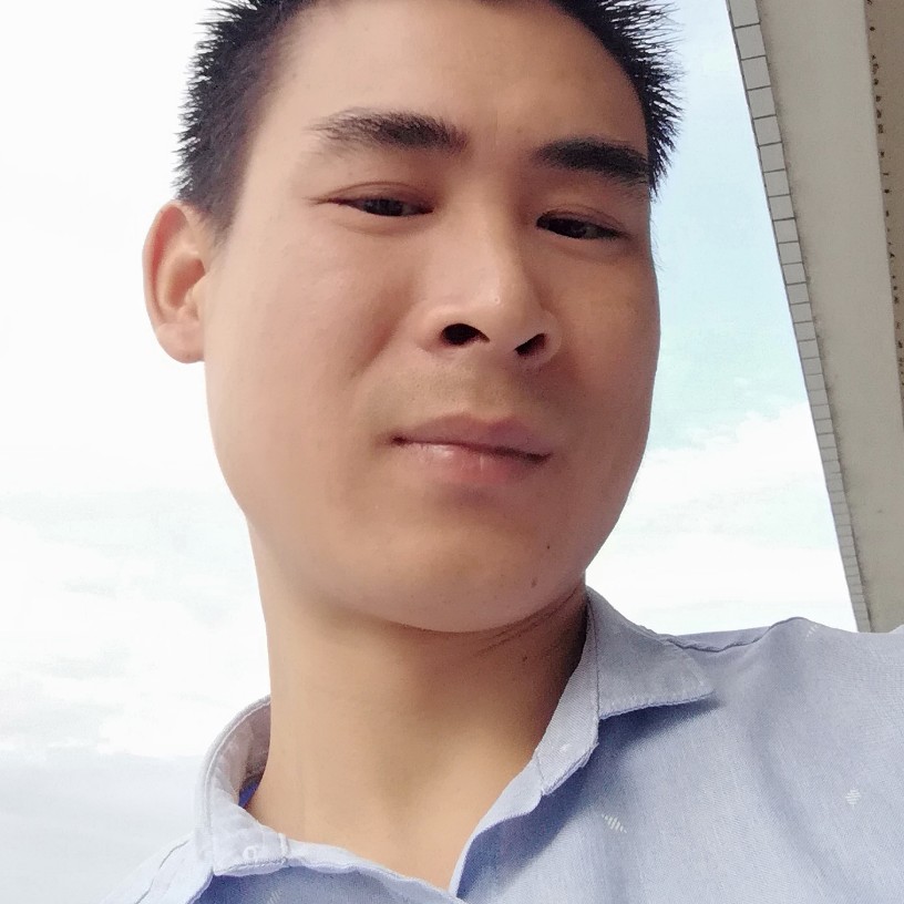 阳光小猫咪的照片