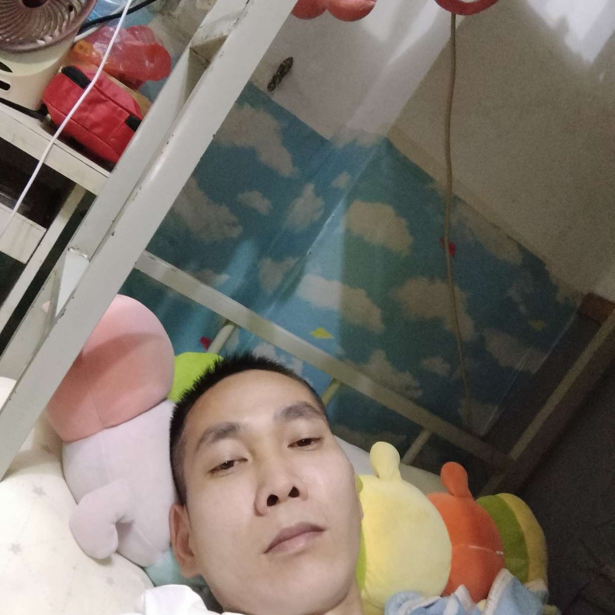 春华淡淡然的照片