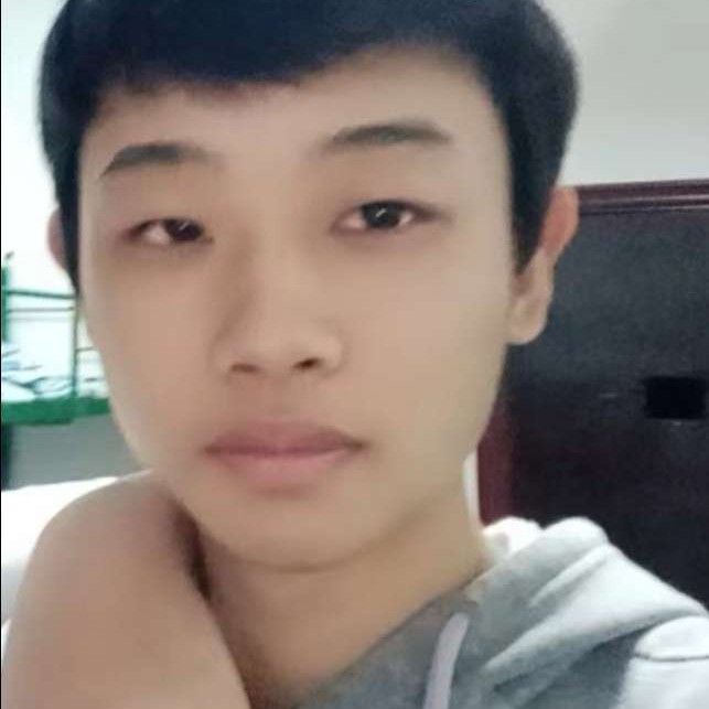 牛的照片