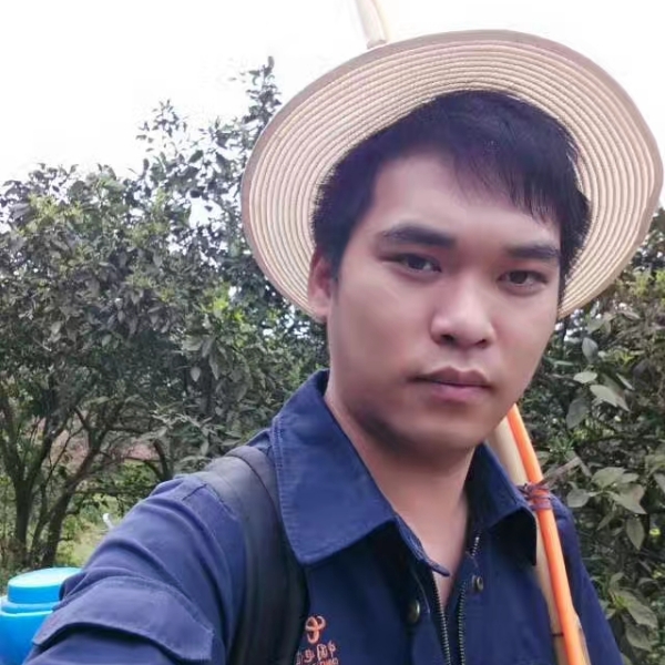 就是這个朲的照片