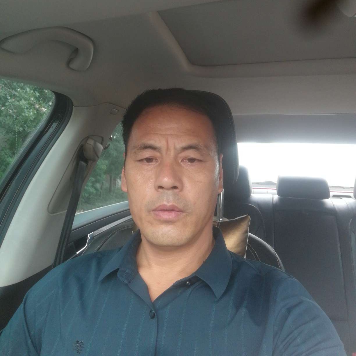 柠檬改变彪壮的照片