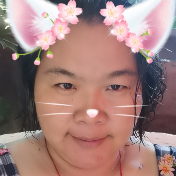 掉落的芒果的照片
