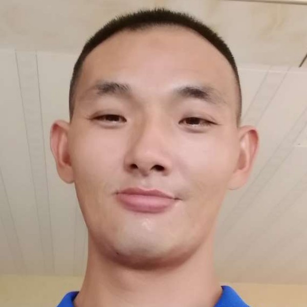 淡淡还树叶的照片