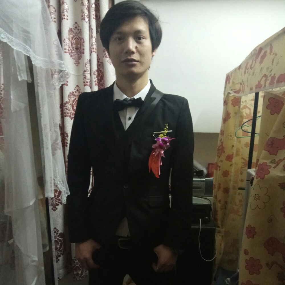 紫雲统夜的照片