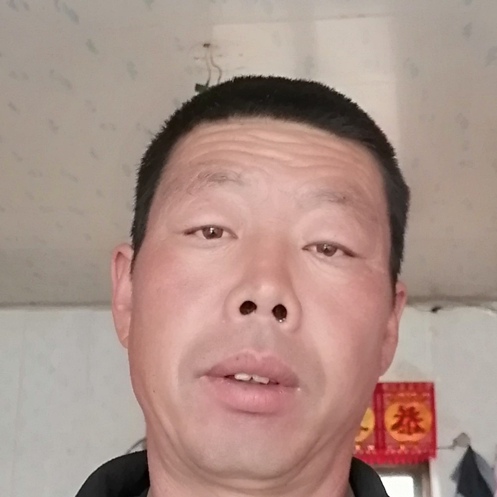 隐形回首母鸡的照片