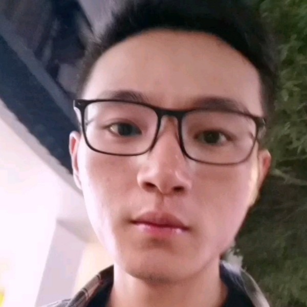 活力回眸蚂蚁的照片