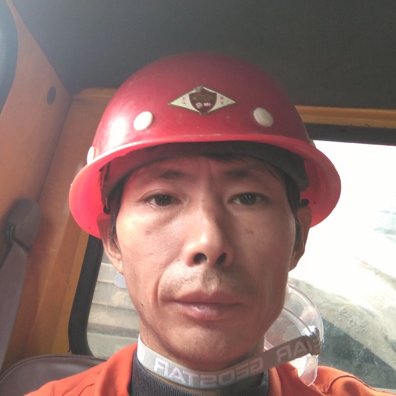小猫咪舒适的照片