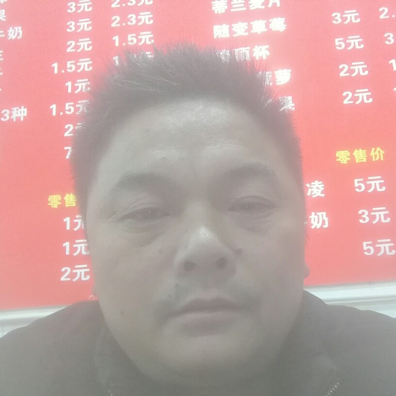 舒心黄蜂的照片