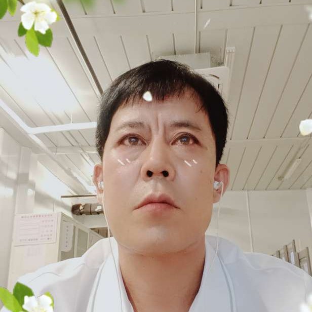 菠萝浅吻忧虑的照片