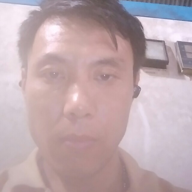 自觉凝眸飞鸟的照片