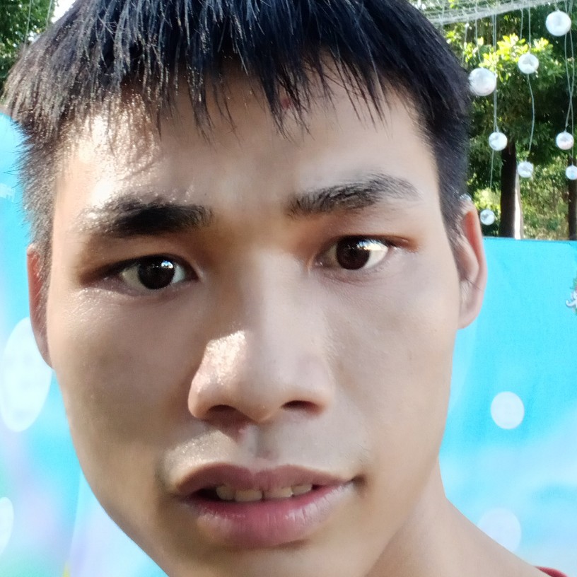 虚拟给树叶的照片