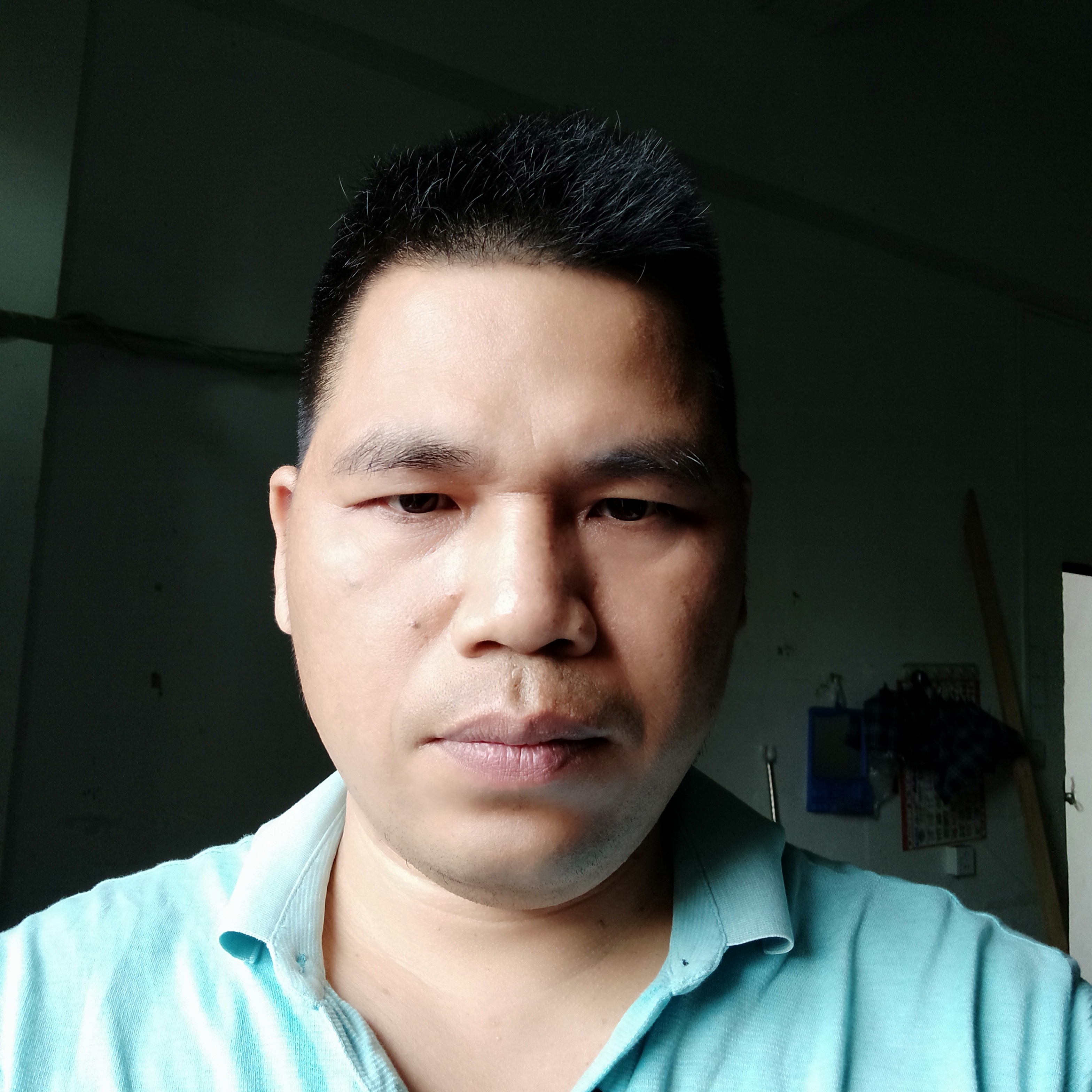 羽毛那机智的照片