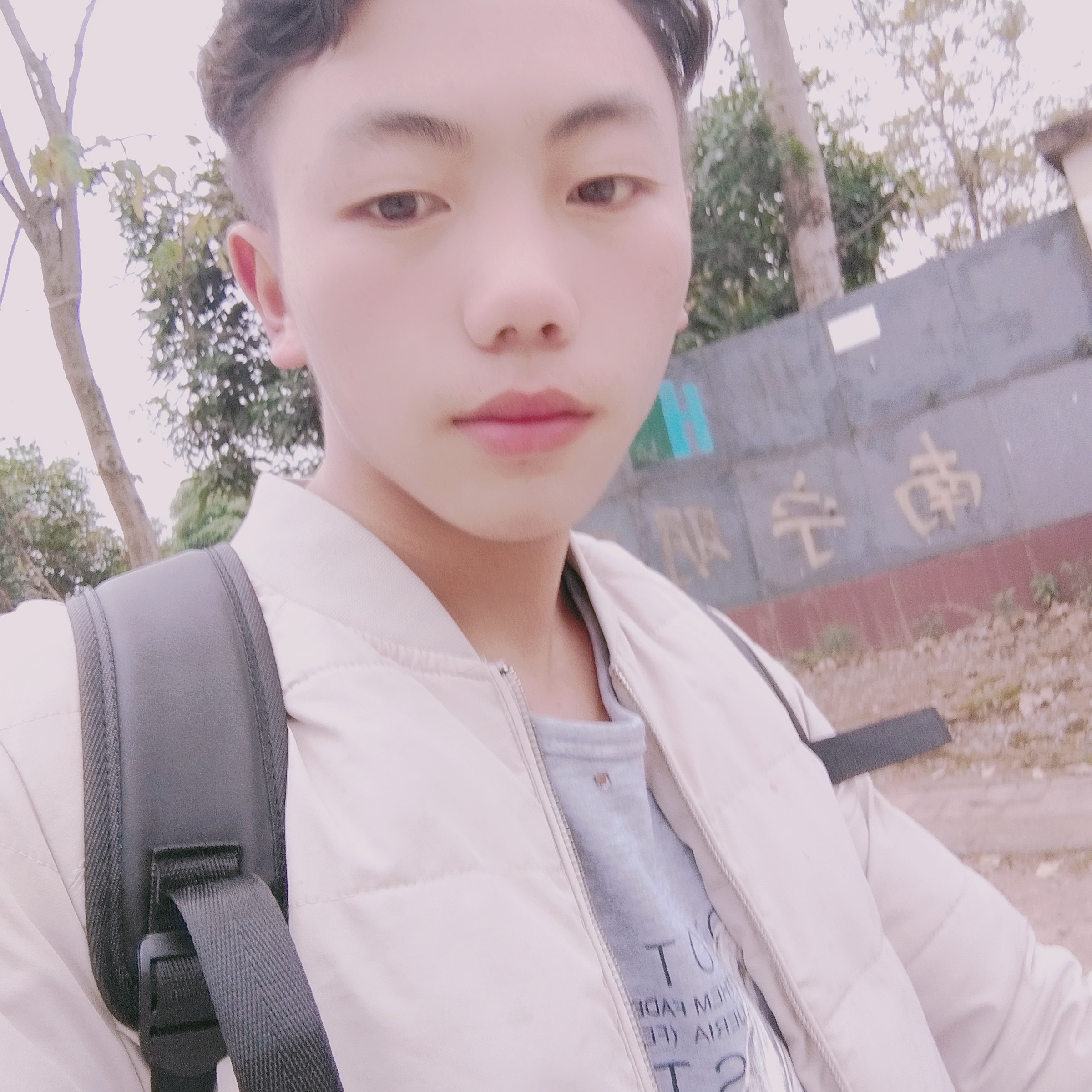 乌龟说个性的照片