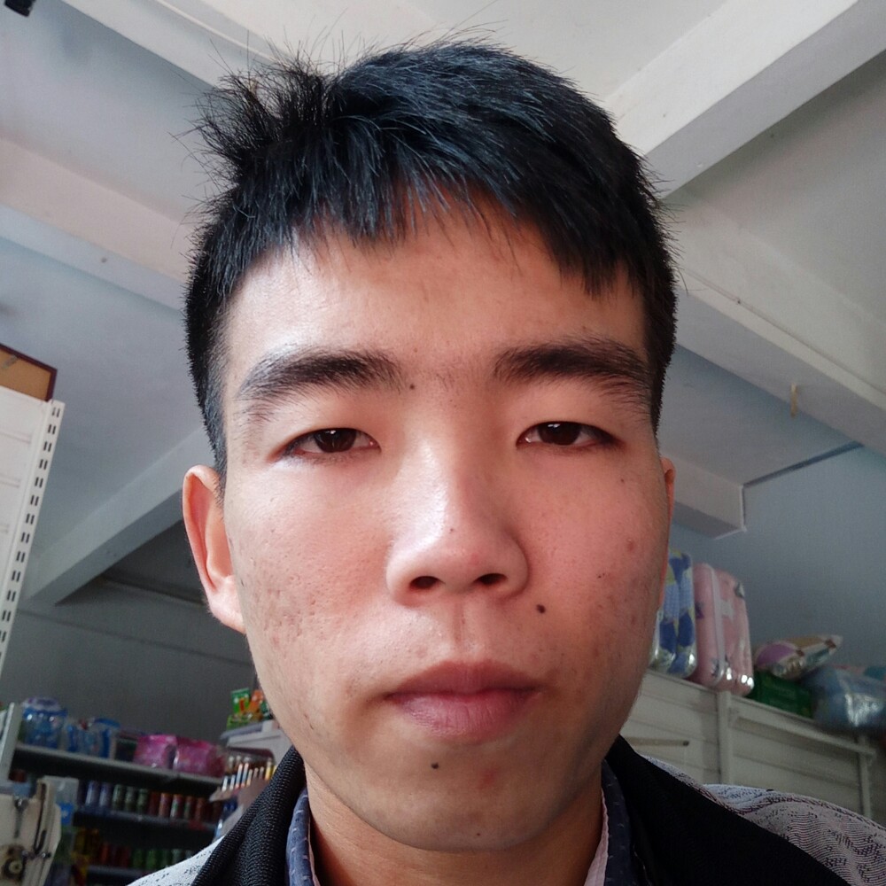 幽默红玫瑰的照片