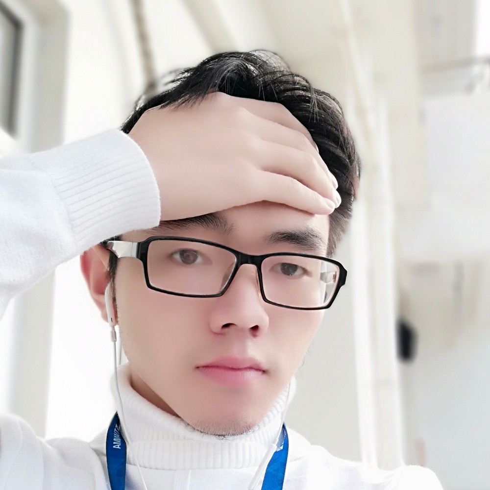 清脆龙猫的照片