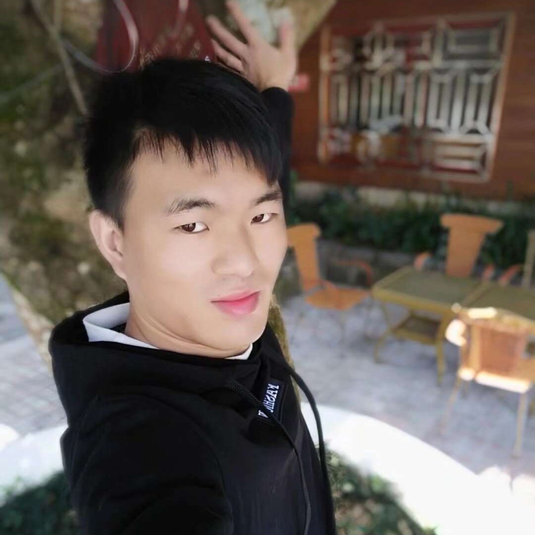 大雁回眸明媚的照片
