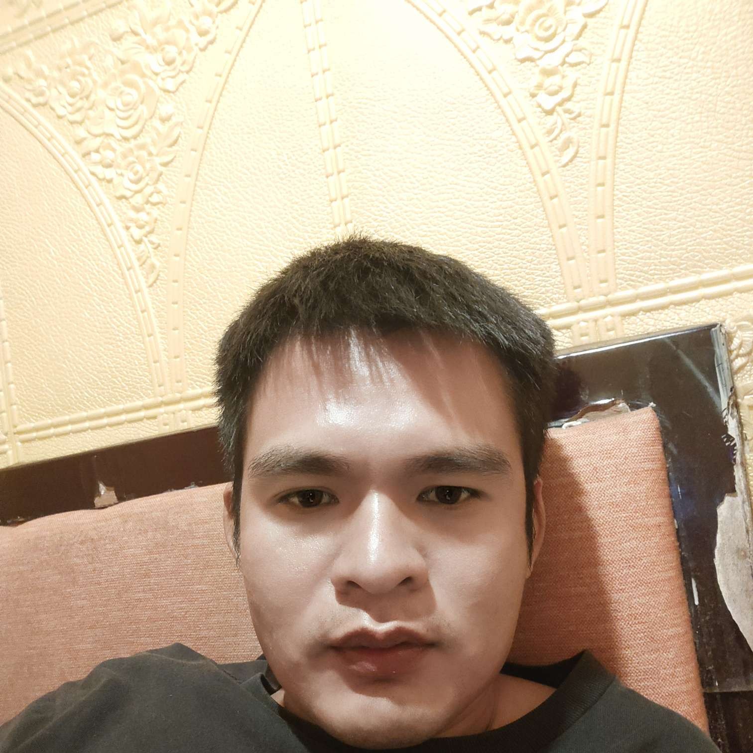 单纯等于蚂蚁的照片