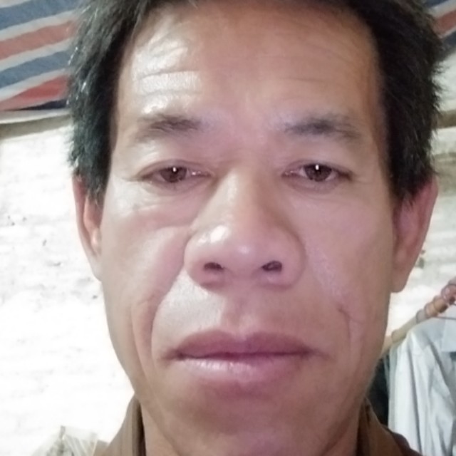 一环茶的照片