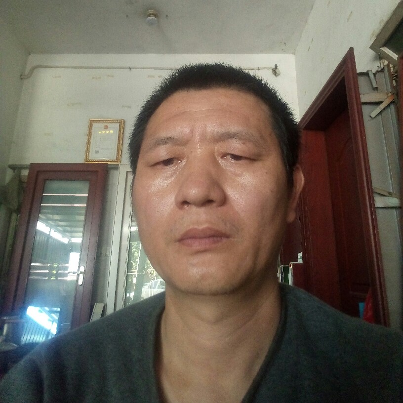 认真和刺猬的照片